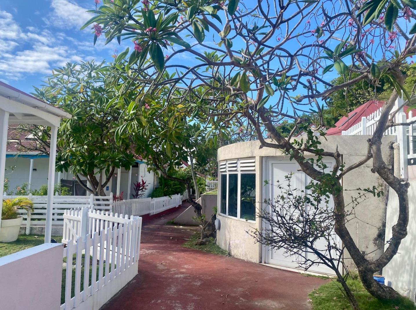 Bungalow Anolis Face A La Mer A 2 Min De La Plage. Terre-De-Haut Exterior photo